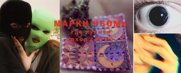 2c-b Бородино