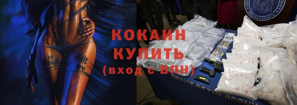 2c-b Бородино