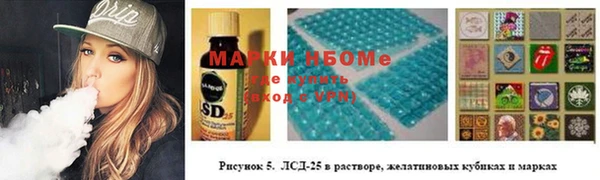 2c-b Бородино