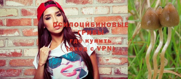 apvp Бронницы
